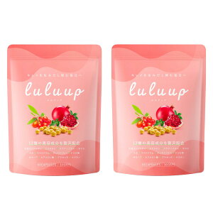 �y���������zluluup �哤�C�\�t���{�� �G�X���`�� �`�F�X�g�c���[ �v���Z���^ �q�A�������_ �A�O�A�փG�L�X ���C���h���� �}�J �L���C���T�|�[�g����12��ނ̔��e���� 30����