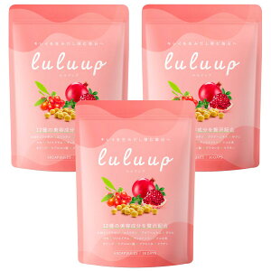 �y���������zluluup �哤�C�\�t���{�� �G�X���`�� �`�F�X�g�c���[ �v���Z���^ �q�A�������_ �A�O�A�փG�L�X ���C���h���� �}�J �L���C���T�|�[�g����12��ނ̔��e���� 30����