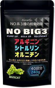�y���������zJAY&CO. NO �n BIG3 �A���M�j�� �E �V�g������ �E �I���j�`�� (1000mg×3��) �T�C�Y�F240�O���� (x 1)