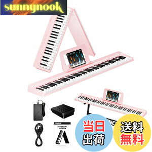 �y���������zTERENCE �d�q�s�A�m 88���� V20-Z �F�F�s���N�A�T�C�Y�F�R���p�N�g