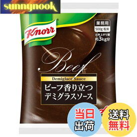 【送料無料】Ajinomoto クノール ビーフ香り立つデミグラスソース 業務用 500g袋 味の素 ビーフシチュー ハンバーグソース