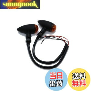 yzBeatus eی^ ~j ECJ[ lWa10mm oCN ėp JX^ p[c 12V 2Zbg LEDł͂܂ (ubN×Ao[ 2)