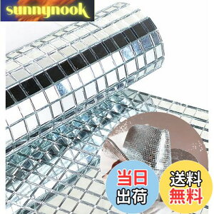 yzREDODECO {̃KX Vo[ ~[ UCN^C XebJ[ Ntgp ` KX^C ȔSA5mm x 5mm (Vo[A2400)