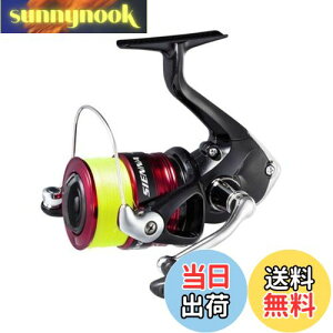 yzV}m(SHIMANO) XsjO[ 19 VGi 4000 4 150mt T[t q V[oX CgWMO CgVA\g