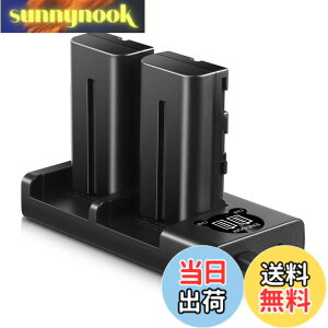 �y���������zENEGON Sony NP-F550/NP-F570�݊��o�b�e���[�i2�j2900mAh+USB�[�d�� �Ή�NP-F530/ NP-F550 /NP-F570/ NP-F330/ CCD-RV100/ RV200/ TR1 /TR940 /TR917 /CN-160 /CN-216 /CN-304 /YN 300 /V607u /V617u