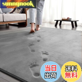 【送料無料】aicomri カーペット ラグマット ラグ 低反発 3畳 厚手15mm 190x240cm 洗える じゅうたん 厚い ホットカーペットカバー 滑り止め付 撥水加工 防ダニ 抗菌 床暖房ホットカーペット対応 フランネル らぐまっと グレー