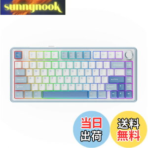 �y���������zEPOMAKER x Aula F75 �Q�[�~���O�L�[�{�[�h �K�X�P�b�g ���J�j�J���L�[�{�[�h 5�w�p�b�h���m�u�t�� 75% ���C�����X �z�b�g�X���b�p�u�� Bluetooth/2.4GHz/USB-C RGB �Z�K�F�؎擾 (Sea Salt Blue, L