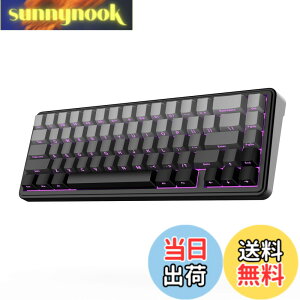 �y���������zEPOMAKER x AULA F65 65%���C�����X���J�j�J���L�[�{�[�h �z�b�g�X���b�v�Ή��K�X�P�b�g�J�X�^���Q�[�~���O�L�[�{�[�h 5�w�p�b�h RGB�o�b�N���C�g Bluetooth/2.4GHz/USB-C �����ς݃��j�A�X