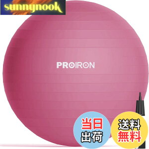 �y���������zPROIRON �o�����X�{�[�� 65cm ���b�h �n���h�|���v�t�� �^���s���̉���