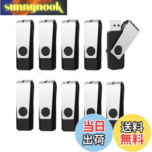 �y���������zRAOYI USB������8GB USB2.0 10�Z�b�g �t���b�V���h���C�u ��]�� �܂Ƃߔ��� �Ɩ��p �������X�e�B�b�N �≮ �X�g���b�v�z�[���t�� �i���j