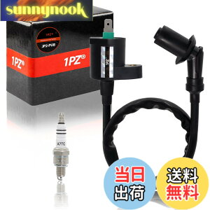 �y���������z1PZ JP2-PU8 ���� �C�O�j�b�V�����R�C�� �v���O�R�[�h �z���_ �����L�[ �S���� �}�O�i50 �g�D�f�C �J�u ���g���J�u XR50���^�[�h XR100���^�[�h �G�C�v50 100 NS-1 NSR50 NSR125 �f�B�I AF18 AF27