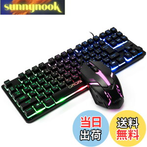 �y���������zCHONCHOW �Q�[�~���O�L�[�{�[�h�}�E�X�Z�b�g ���{��z�� ���� keyboard ps4/ps5�Ή� �Q�[�~���O�}�E�X �L�[�{�[�h �L���u���ϊ��v/�u�ϊ��v�L�[�t�� �e���L�[���X ���� �L�� 4�i�KDPI 19