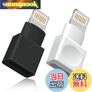 �y���������z���C�g�j���O�����P�[�u�� �A�_�v�^�[ 2�_�p�b�N Apple(�A�b�v��) MFI�F�� iPhone�[�d�� �����P�[�u�� �I�X�^-���X�^ �h�b�N �G�N�X�e���_�[ iPhone 13 12 11 X XS XR 8 7 6 5 iPad�Ή� �I�[�f