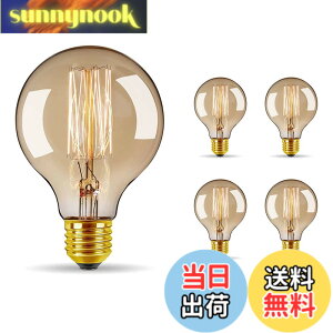 �y���������zBravelight �G�W�\���d�� 60W E26/E27���� �yG95�z �{�[���d�� �J�[�{���d��(��LED�d��) �g�F ������� �G�W�\���o���u ���g���d�� �A���e�B�[�N�Ɩ� �����d�� �ԐڏƖ� ���d�� ���͋C�d