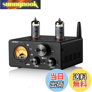 �y���������zAIYIMA T9 Bluetooth 5.0 100W*2�`���[�u�A���v 2.0�`�����l�� �^��� USB DAC�X�e���IHiFi�z�[���I�[�f�B�I�f�W�^���A���v RCA/COA/Opt/PC-USB�AVU���[�^�t��