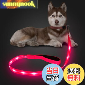 �y���������zCandofly ���ˌ^ LED ���p���[�h - �ÈłŌ��錢 ���C�g USB �[�d���Ɩ��t�����p���[�v�A4 �t�B�[�g�̑ϋv���̂���ϐ����_�Ō����[�h�A�y�b�g�̌��̖�̎U���p (�s���N)