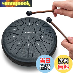 �y���������z�X���b�g�h���� �X�`�[���^���O�h���� LEKATO �����h���� 11�� 6�C���` �Ŋy�� �}���b�g ���[�o�b�O�t�� �ґz ���K �T (�l�C�r�[�u���[)
