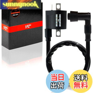 �y���������z1PZ JY1-C01 ���� �C�O�j�b�V�����R�C�� �A�v���I �X�[�p�[JOG ZR �X�[�p�[�W���OZR JOG90 �W���O90 DT230 �����c�@ BW'S100 �r�[�E�B�Y100 TDR50 TDR80 TS125R �O�����h�A�N�V�X100 �ЊO�i �o�C�N 