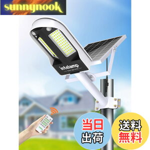 �y���������zintelamp �\�[���[�X�� �l���Z���T�[ 6500K�����F �Ɩ� �F�F�u���b�N���z���C�g�A�T�C�Y�F13P10