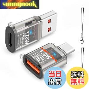 �y���������zleizhan USB Type-C �I�X����USB ���X�A�_�v�^�[�A10Gbps/120W Type-C����USB 3.1�����[�d�E�f�[�^�]���EOTG�A�_�v�^�[ �F�FTransparent black�A�T�C�Y�F120W USB - TypeC