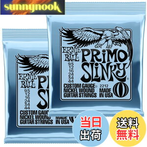 �y���������z�y���K�i�z ERNIE BALL �G���L�M�^�[�� SLINKY �F�F�v����(9.5-44)�A�T�C�Y�F9.5-44
