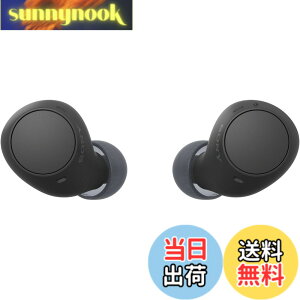 �y���������z�\�j�[(SONY) ���S���C�����X�C���z�� WF-C500/WF-C510 :/�����x�ʘb�i��/IPX4�h�H���\ �F�F�u���b�N�A�T�C�Y�F���^�y��
