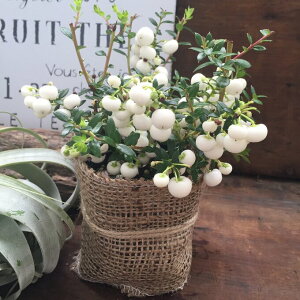 y^̖ z zCg p[c[ NX}X  񂹐A yl`A K[fjO CeA ϗtA