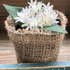 y}EKj[z |LZi HA  N炫܂   A CeA