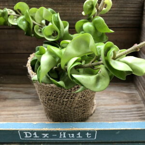 y zRpN^ z 鐫 J[t  Ԍt  l̖o   CeA  A Ă₷ SҌ 