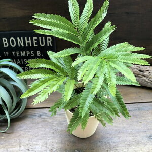 yGo[tbVz AJTlmL C̖ 閰 ϗtA Ԍt  ̂Ƃ߂ K^ o^ ^ vw~  bNX 