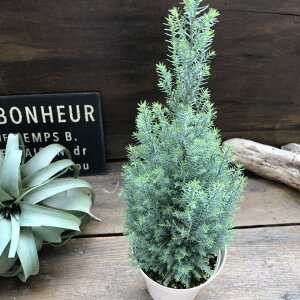 yVo[X^[z Rjt@[ c[ u[O[̗t K[fjO A 񂹐A