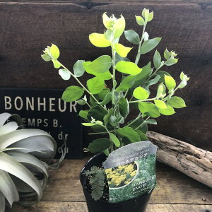 yp[AJVAz V{c[ ۂt hCt[ AJVA K[fjO  d^ ^  A 