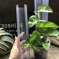 『透明』ねこ型登り棒 M/長さ 30cm 蔓性つる M30 観葉植物　猫の登り棒 ねこの登り棒 花森家 猫のぼり棒 …