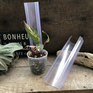 ˂^o_ L/ 30cm ԐX  ϗtA