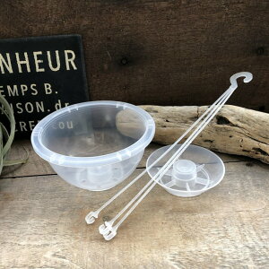 lK~GAIR ݂艺 5݂蔫 󉪉|