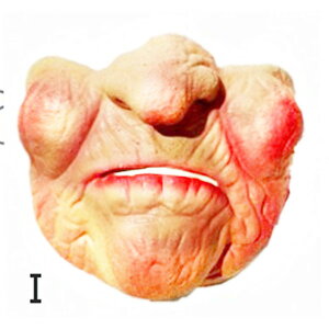 }XN rbN }XN Ȃ肫 ʔ 蕨 nEB 9^Cv  ] Q[ ebNX}XN RXv  }XN be090c0c0x0