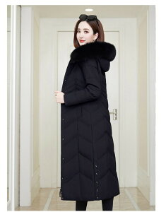 _ER[g fB[X R[g O x`R[g t@[t傫TCY4L~9L  OR[g _EWPbg ̓ v[g JbRCC AE^[ WPbg _E Vv 