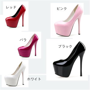 pvX  q[ p[eB[ Nu pvX 16cmq[ Lo I[vgD C  傫TCY EGfBO  Ӊ 10 2 r r nCq[ ItBX tH[}