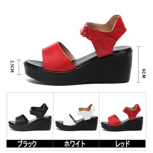 T_ fB[X  EFbW\[ RtH[gT_ 傫TCY q[T_ nCq[ TCY q[6 Sn悢  EFbW T_ r 