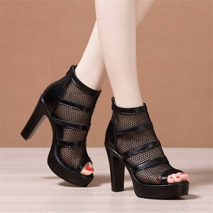 u[cT_ T_ fB[X bV I[vgD T}[u[c V[gu[c  nCq[ sq[ r 傫TCY    V[X[  