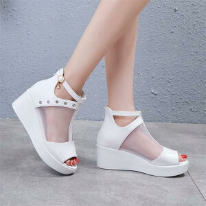 u[cT_  fB[X T}[u[c ău[c T_ r  I[vgD T_ EFbW\[ nCq[ ʋC bV V[gu[c q[T_ 