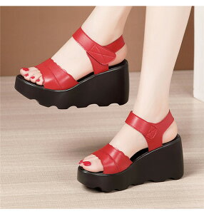 V T_ fB[X  EFbW\[ RtH[gT_ 傫TCY q[T_ nCq[ TCY q[8 Sn悢  EFbW r  