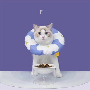 GUxXJ[ Lp ʕ \tg 炩 Ȏ y p _炩 wXPA ی rߖh~ ޖh~ 畆a D pEFA K \ ی rߖh~ ~h~ 