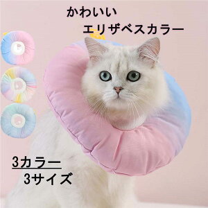 GUxXJ[ Lp \tg 炩 Ȏ y p _炩 wXPA Of[V ی rߖh~ ޖh~ 畆a D pEFA K \ ی rߖh~ 