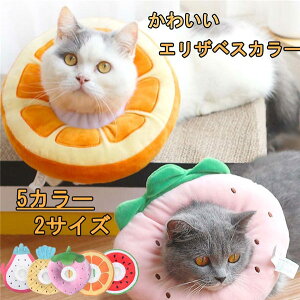 GUxXJ[ Lp \tg t[c 炩 Ȏ y p _炩 wXPA ی rߖh~ ޖh~ 畆a D pEFA K \ ی rߖh~ ~