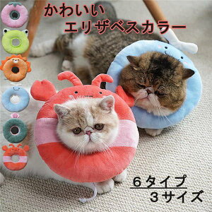 GUxXJ[ Lp \tg  炩 Ȏ y p _炩 wXPA ی rߖh~ ޖh~ 畆a D pEFA K \ ی rߖh~ ~h~ 