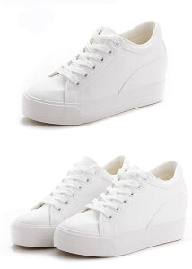  Xj[J[ fB[X Cq[ 22.0?24.5 ₷ NbV\[ JWA {V[[X Vv   sN 10F ʋ ʊw I[V[Y V[Y C di016d4