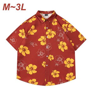 AnVc nCrXJX   jp Y fB[X JWA  Vc  C J݃Vc bh    傫TCY@ nCA Vc  