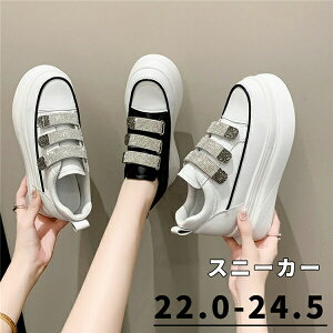  xN xg C fB[X   ؍ 22.0cm 24.5cm X|[c t Xj[J[ Xj[J[ Xb| JWAV[Y Vv ɂȂ lC ₷ Ȃ di296g4g4zs