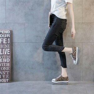 ҂ݏグ^Cv V[Y JWA Xj[J[ fB[X EH[LOV[Y ubN  킢 傫TCY ₷ s ʋ ʊw C  Vv n r g